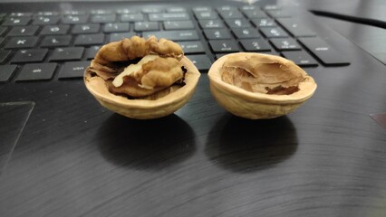 Walnut while working in office 