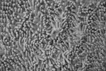 Processed image of fluffy gray doormat from bathroom in grey color
