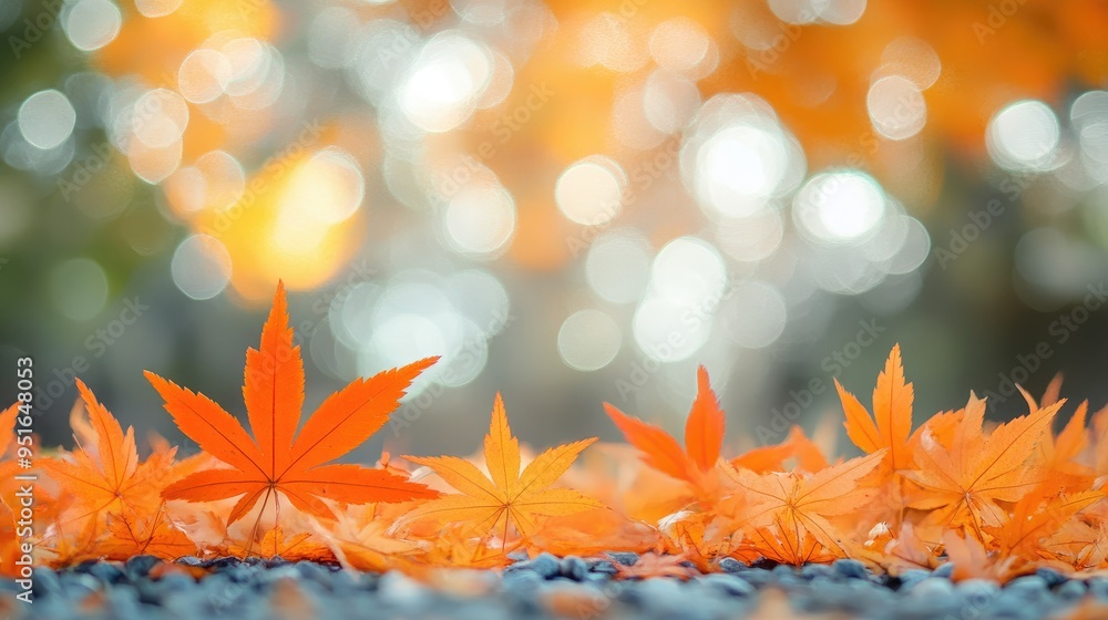 Poster orange maple leaves on the ground with a bokeh effect defocused background