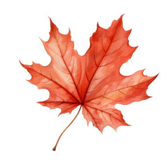 Watercolor Maple Leaf Isolated on a Transparent Background