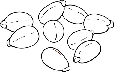 Castor Seeds Outline Illustration
