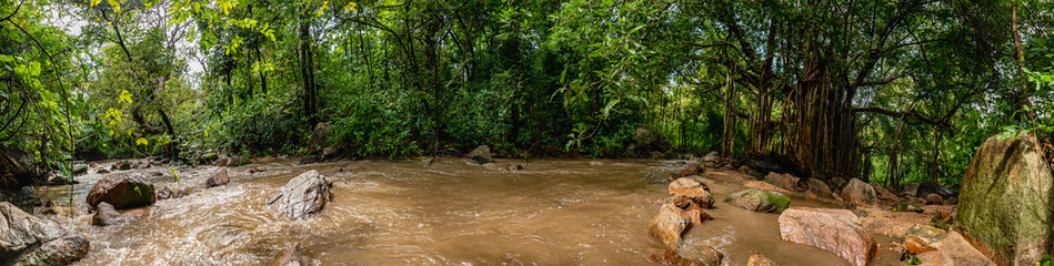 Flooded forest streams, from rainfall or snowmelt, disperse seeds, rejuvenate soil, create diverse habitats, and support amphibians, birds, fish, and invertebrates, enhancing forest biodiversity.
