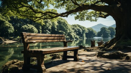 Naklejka premium Beautiful green park near the lake with a bench