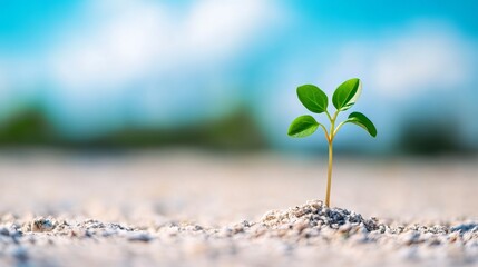 Innovation is the practical implementation of ideas that result in the introduction of new goods or services or improvement in offering goods or services.