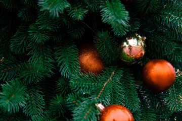 Christmas tree traditional ball hanging on a needled branches December rainy moody holidays eve season