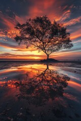 Fototapeta premium best concept photography ever, award winning sunset photography, nature is beautiful, cerial landscape 