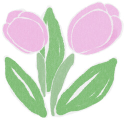 pink Tulips flower Shredded paper