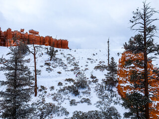 Snow scene colorful cliffs with red rock and stone in Bryce Canyon National Park