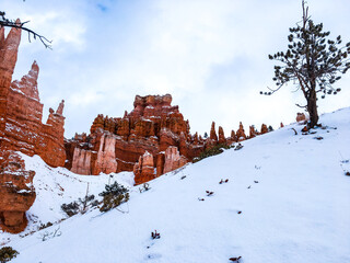 Snow scene colorful cliffs with red rock and stone in Bryce Canyon National Park