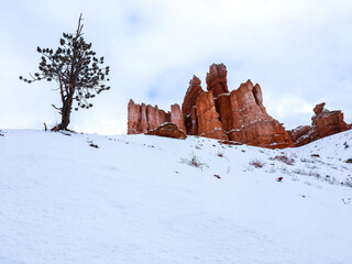Snow scene colorful cliffs with red rock and stone in Bryce Canyon National Park