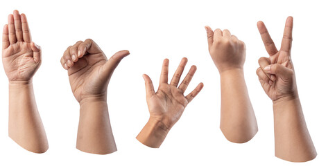 Different hand gesture, sign, symbol set. Holding, grabbing, show quantity, fist isolated on Transparent PNG catting 