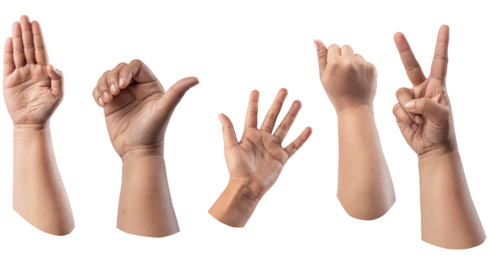 Different hand gesture, sign, symbol set. Holding, grabbing, show quantity, fist isolated on Transparent PNG catting 