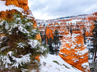 Snow scene colorful cliffs with red rock and stone in Bryce Canyon National Park