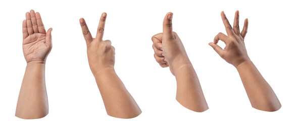 Index fingers pointing up, showing upwards, indicating to top, isolated on white background, transparent png