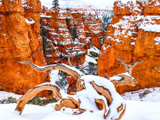 Snow scene colorful cliffs with red rock and stone in Bryce Canyon National Park