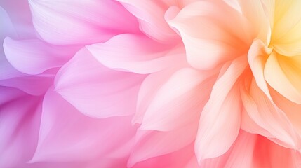 Soft pastel flower petals blending in beautiful hues create a mesmerizing floral background for artistic designs.