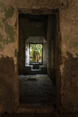 Obraz premium árbol de la ventana