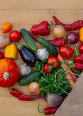 fresh vegetables and paper bag on wooden background. Selective focus