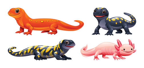 Set of salamander cartoon illustration. Vector reptile isolated on white background