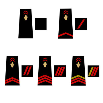 Ensemble des galons de l'arm&eacute;e de terre fran&ccedil;aise: Pompier de Paris. Homme du rang. Sapeur 1&egrave;r et 2&egrave;me classe, caporal, caporal_chef, 
