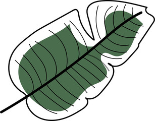 Banana sketch transparent background stock vector illustration. Banana leaf. Hand drawn image. Black outline on white background.