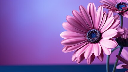 Fototapeta premium beautiful purple flower spring wallpaper photo