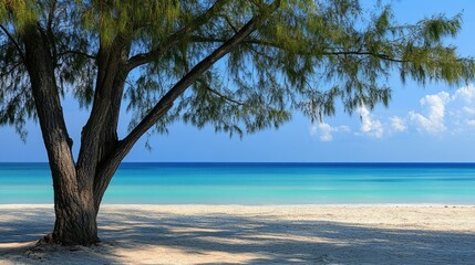 tropical beach panorama, seascape with a wide horizon