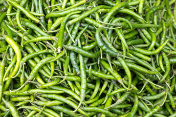 Pile of fresh raw green chilli for sale at local market.