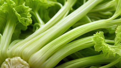 Obraz premium A close-up shot of fresh green celery stalks.