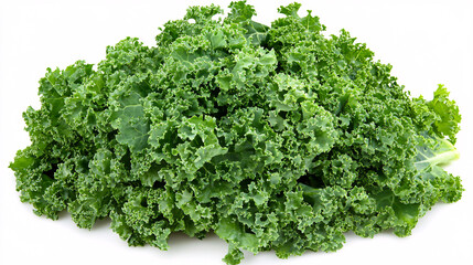 Fototapeta premium Fresh Green Curly Kale Leaves