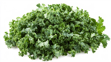 Fototapeta premium Fresh Green Kale Leaves