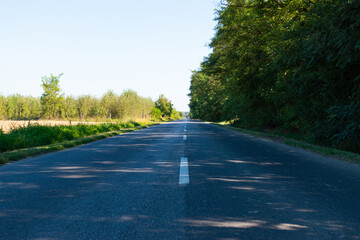 Fototapeta premium road in the countryside