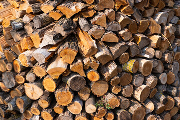 stack of firewood
