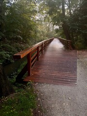 wooden bridge in the woods