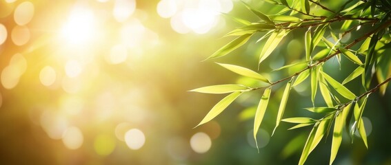 Obraz premium Background with abstract bamboo stems and leaves on blurry green background, idyll of sunlit nature for spa, vacation, travel and cosmetics