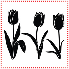 Tulips  The perfect floral accent to bring color and charm to your garden or home decor.