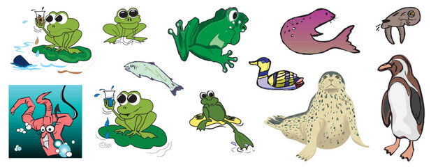 b Water Sea Creaters penguin ...