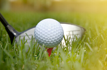 Closeup Blurry View of Golf Driver and White Ball with Sunlight