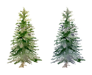 Scenery landscape coniferous forest fir spruce, Christmas Xmas green tree, watercolor hand drawn. Single isolated element, botanical illustration. Tourism, resort ads, hiking camping sites vacation.