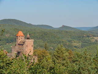 Im Pf&auml;lzer Wald
