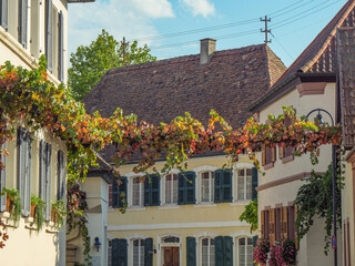 Spätsommer in der PFalz