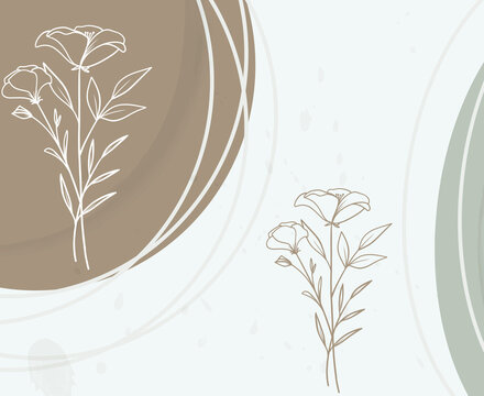 Fototapeta Minimalistic elegant hand-drawn flowers in brown-grey