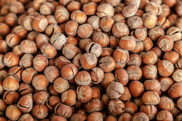 lots of hazelnut nuts, walnut natural background, healthy food