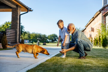 Grandfather and grandchild at country in backyard playing with dog.