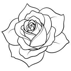 Rose silhouette with leaves. Flower vector illustration on white background