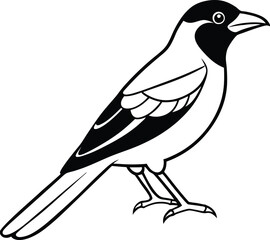 Graceful Bird Outline Design