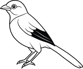 Graceful Bird Outline Design