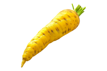 Fresh Yellow carrot or daikon radish with green leaves isolated on a white transparent background.