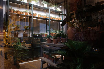 Flower shop in the dark