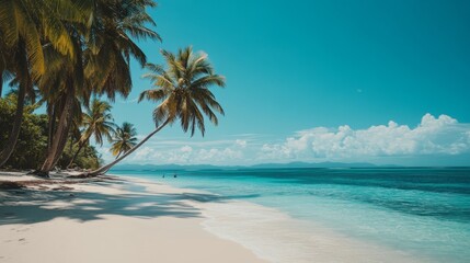 The photograph captures a flawless white sand beach with serene blue waters, accented by palm trees swaying gracefully.